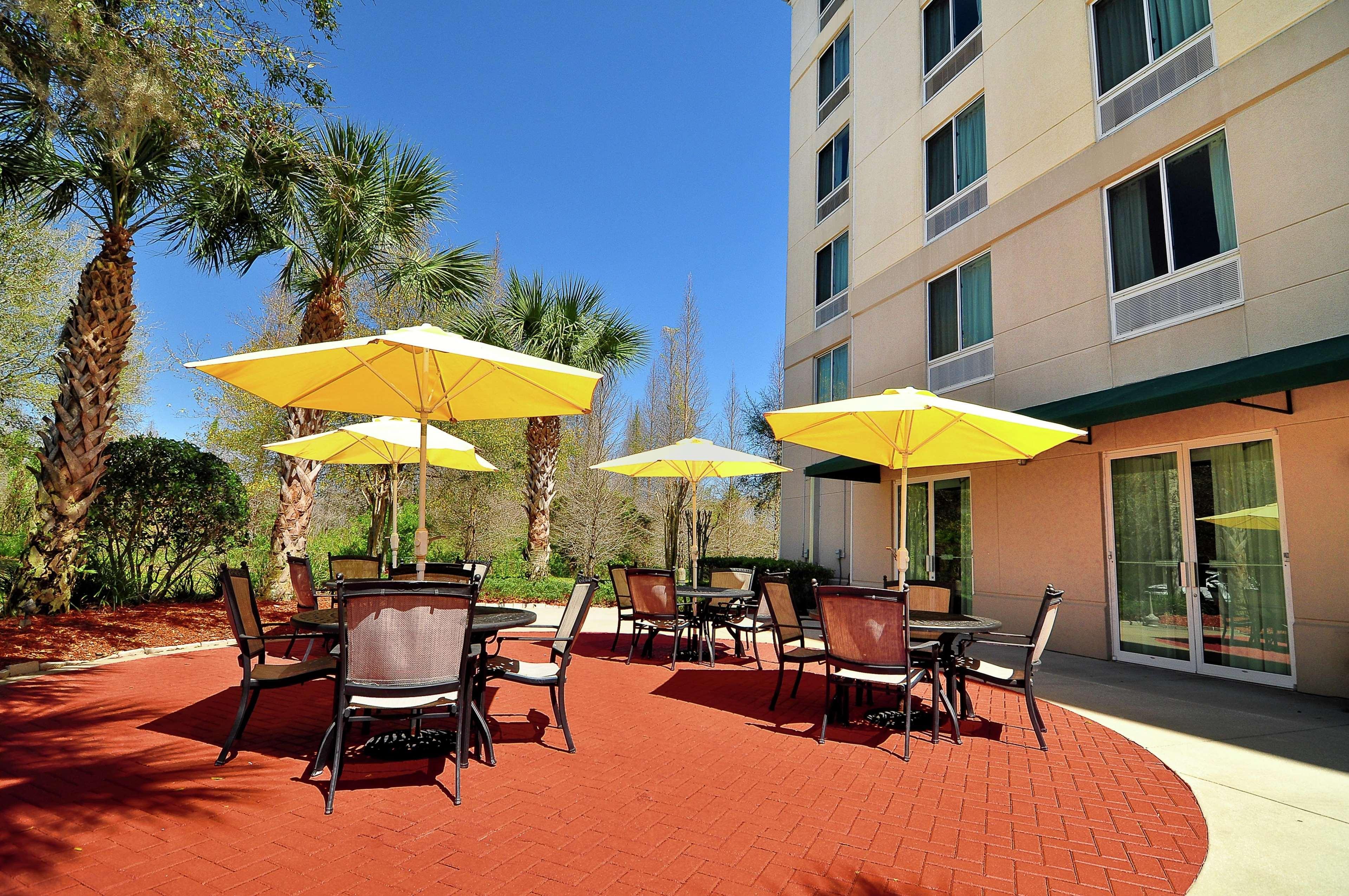 Hilton Garden Inn Tampa North Temple Terrace Eksteriør billede