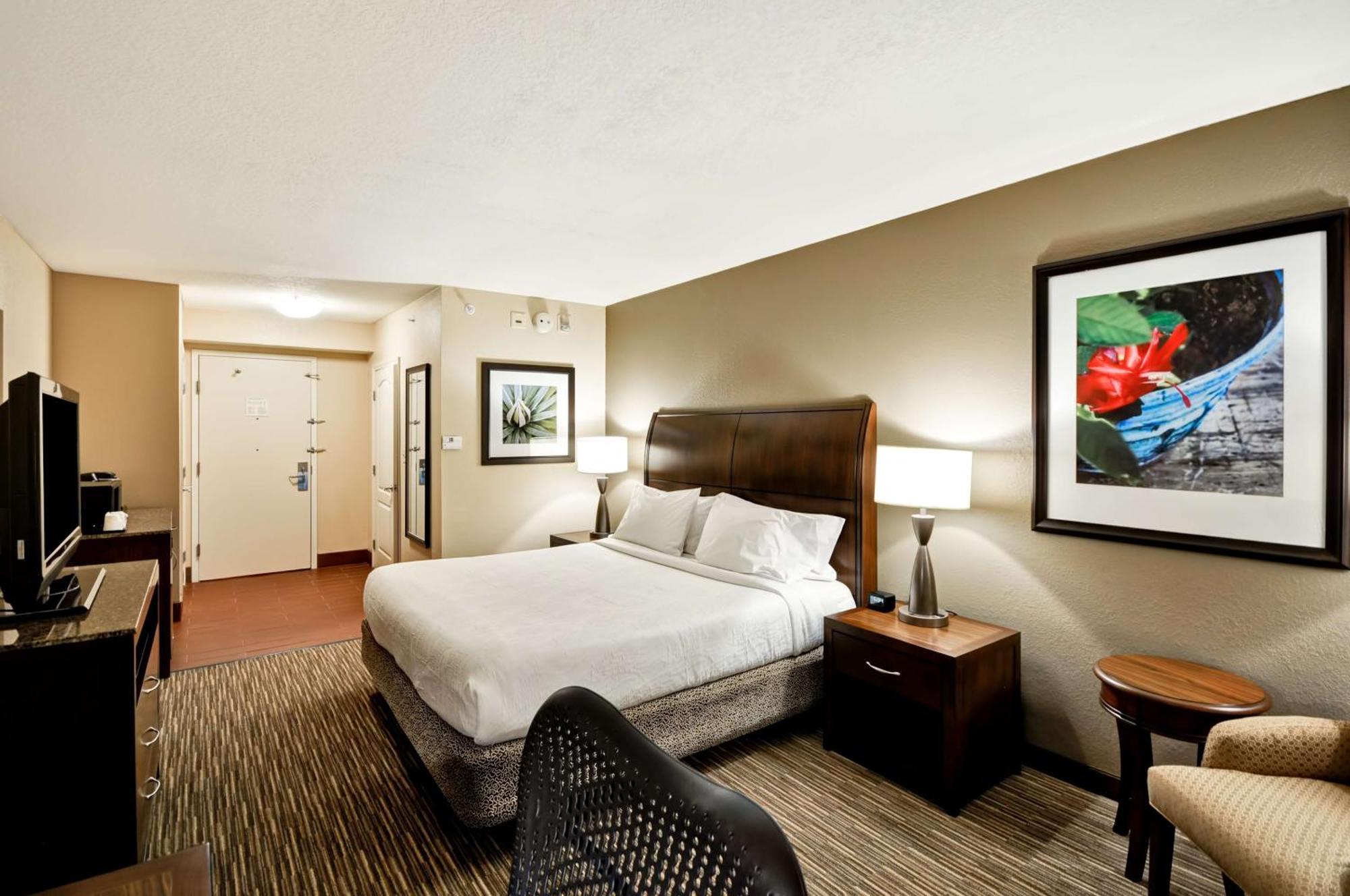 Hilton Garden Inn Tampa North Temple Terrace Eksteriør billede