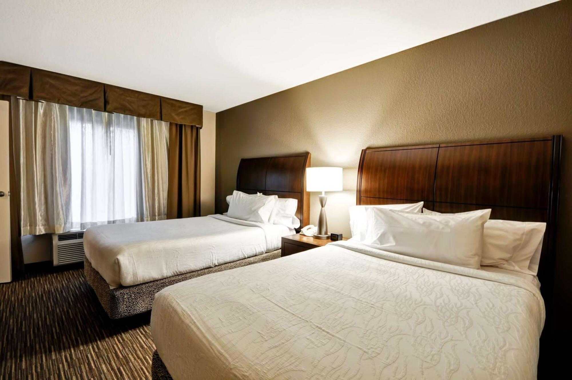 Hilton Garden Inn Tampa North Temple Terrace Eksteriør billede